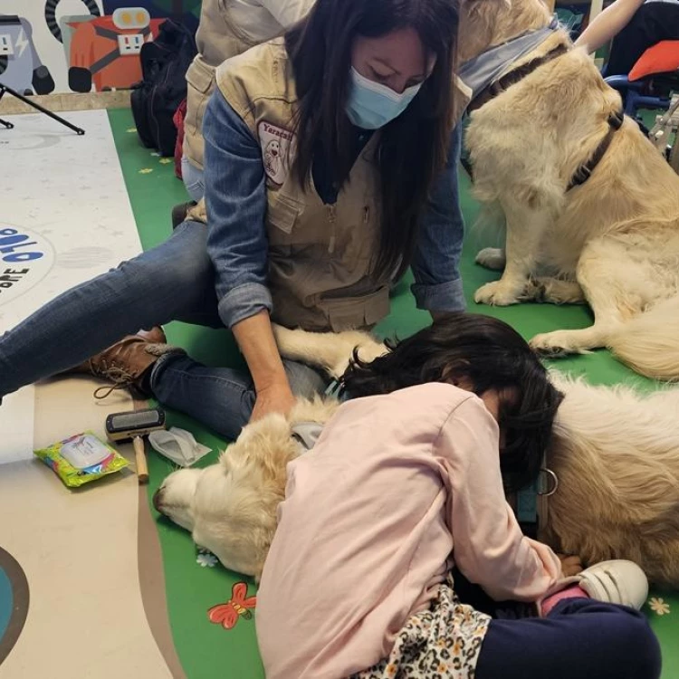 Imagen relacionada de terapia con perros en el hospital 12 de octubre de madrid