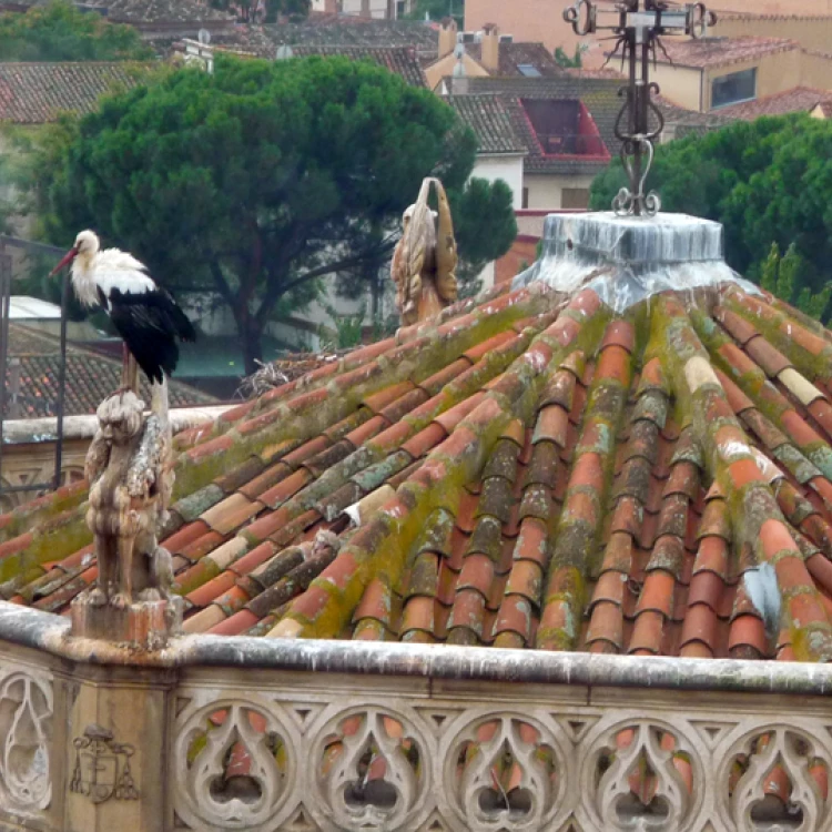 Imagen relacionada de comunidad madrid patrimonio iglesia catolica