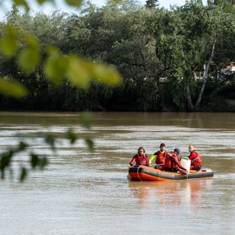 Imagen relacionada de el imd de zaragoza comienza tratamiento contra la mosca negra en el rio ebro