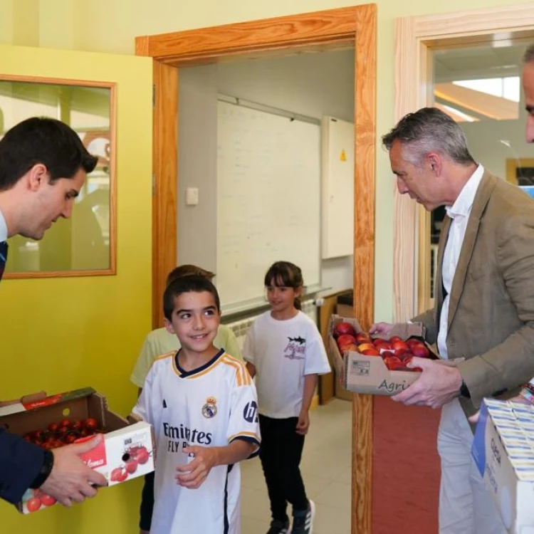 Imagen relacionada de la comunidad de madrid promueve una alimentacion saludable entre escolares