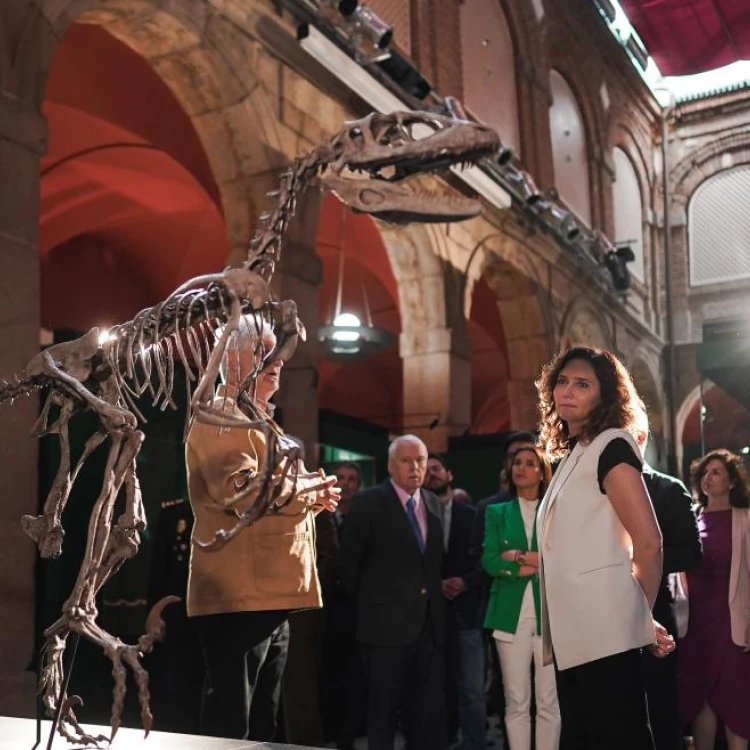 Imagen relacionada de aniversario museo arqueologico madrid