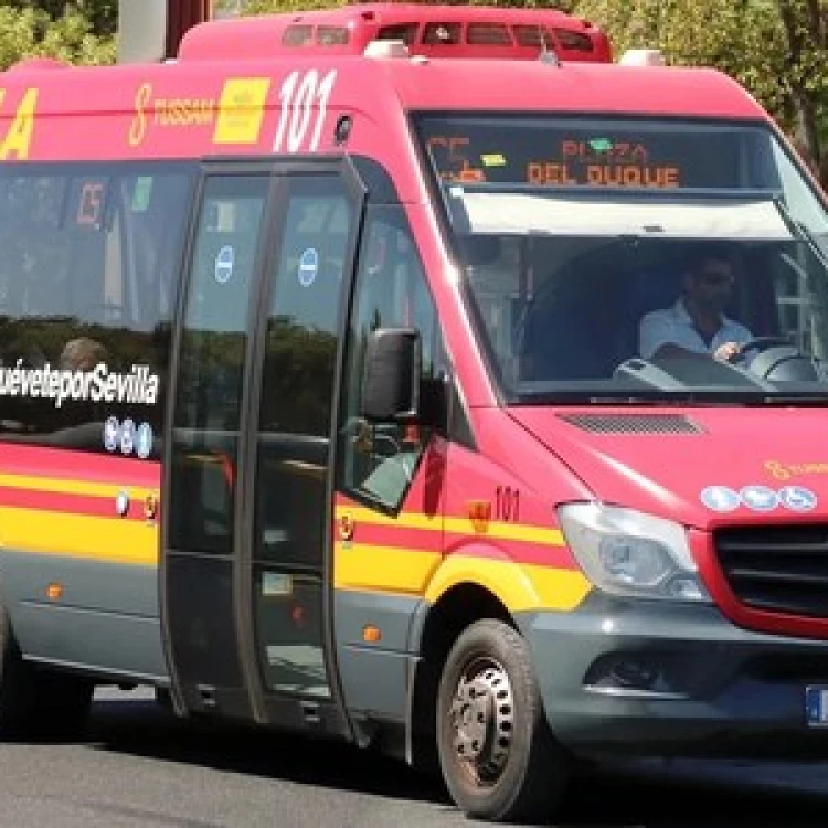 Imagen relacionada de nueva adquisicion microbuses electricos sevilla reactivar linea c5