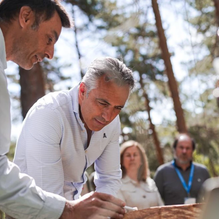 Imagen relacionada de investigacion mejorar gestion agua bosques madrid