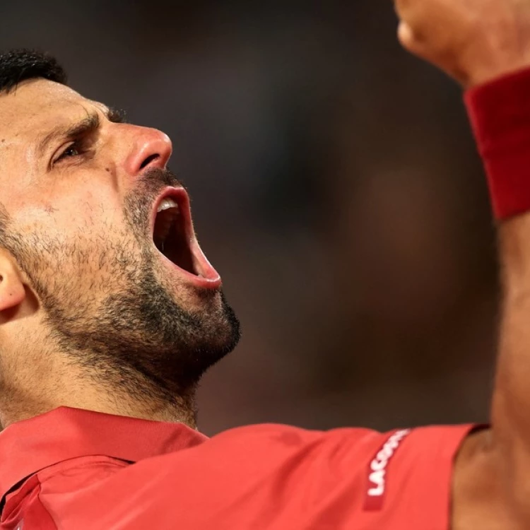 Imagen relacionada de djokovic domina roland garros debut complicado