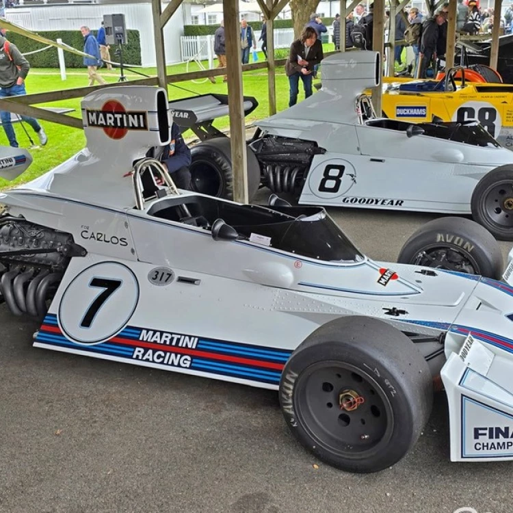 Imagen relacionada de el emblematico brabham bt44 en members meeting goodwood