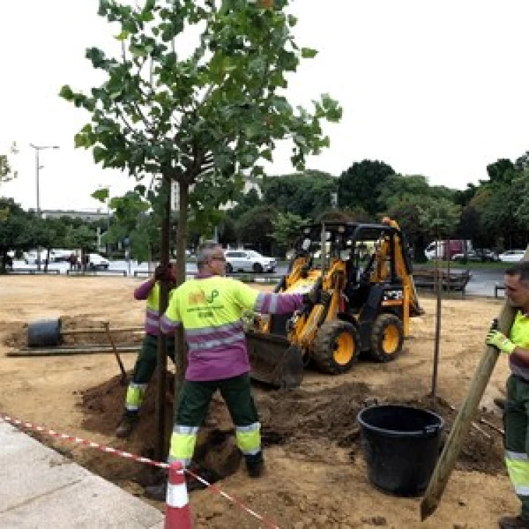 Imagen relacionada de nuevo proyecto zonas verdes sevilla