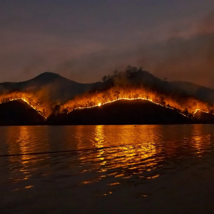 Imagen relacionada de simulacro incendio forestal euskadi