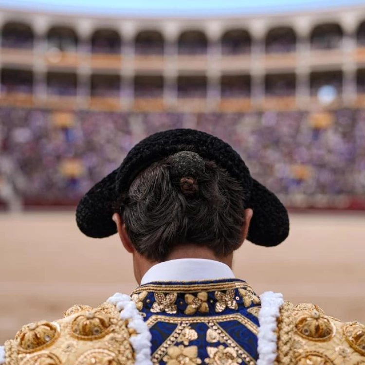 Imagen relacionada de exito feria san isidro 2024 ventas