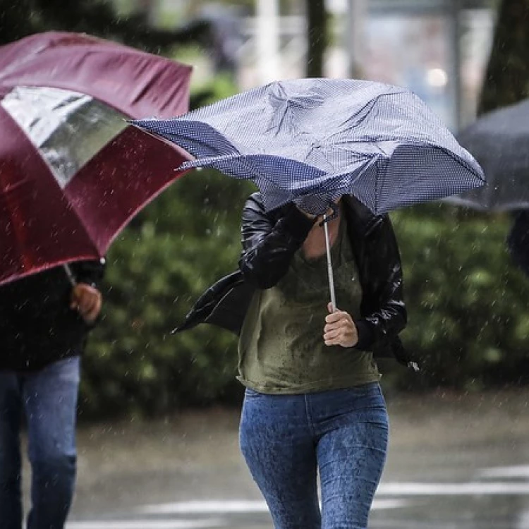 Imagen relacionada de intervenciones por lluvias en arbolado de valencia