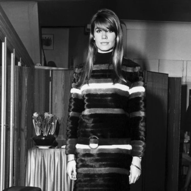 Imagen relacionada de Fallecimiento de Francoise Hardy icono de la musica francesa desde los anos 60