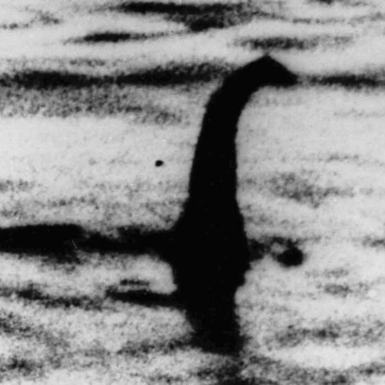 Imagen relacionada de busqueda monstruo loch ness