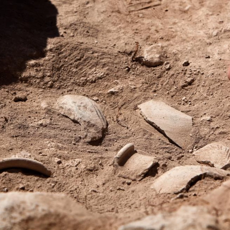 Imagen relacionada de voluntarios internacionales proyecto arqueologico madrid