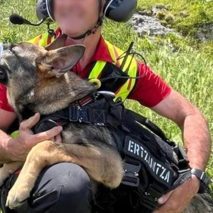 Imagen relacionada de rescate de montanero y su perro en euskadi