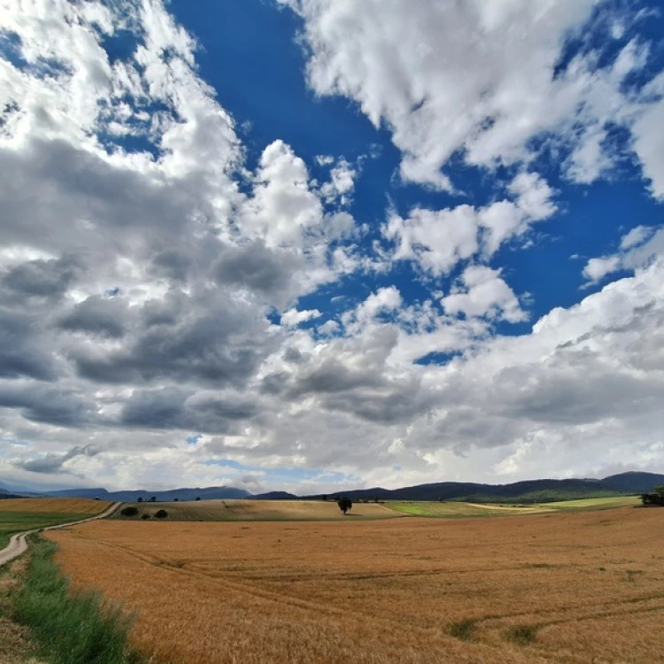 Imagen relacionada de primavera calida y seca en euskadi con records de temperaturas altas