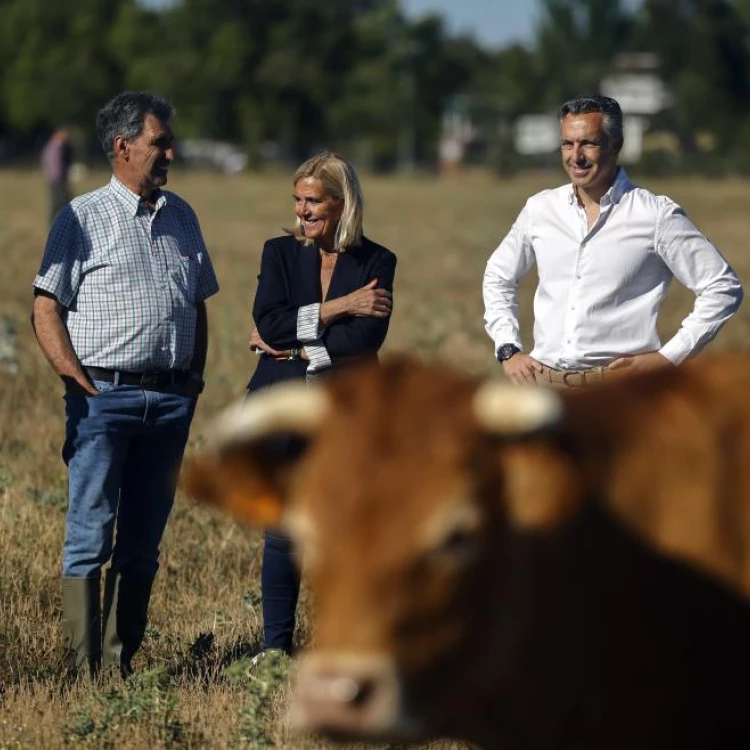 Imagen relacionada de aumento ayudas jovenes agricultores madrid