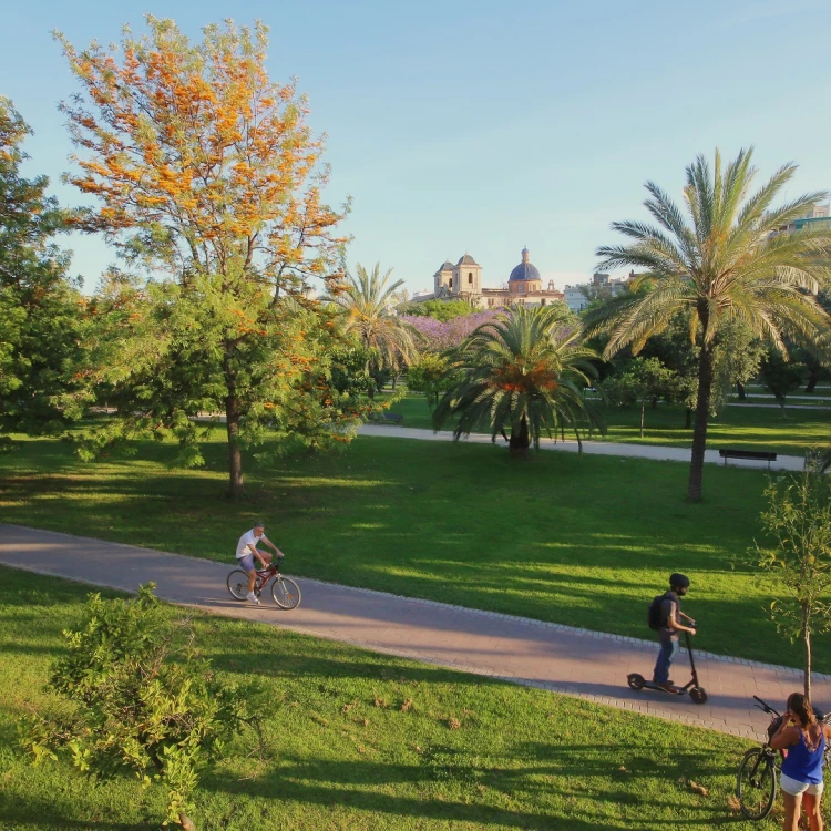 Imagen relacionada de valencia ofrece mapas accesibles del jardin del turia