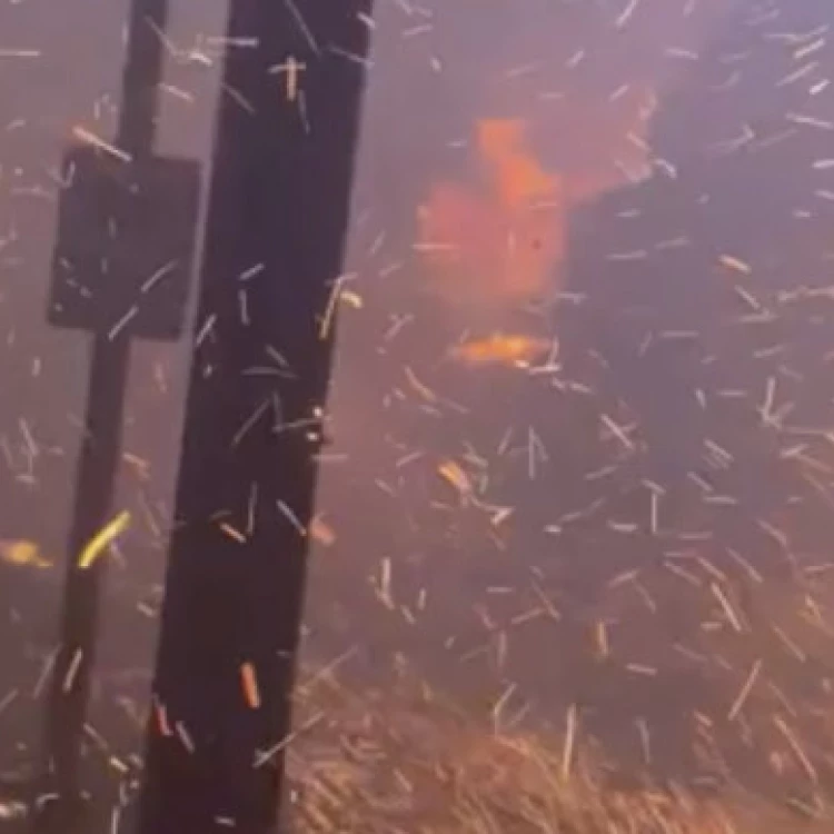 Imagen relacionada de incendios forestales hawai