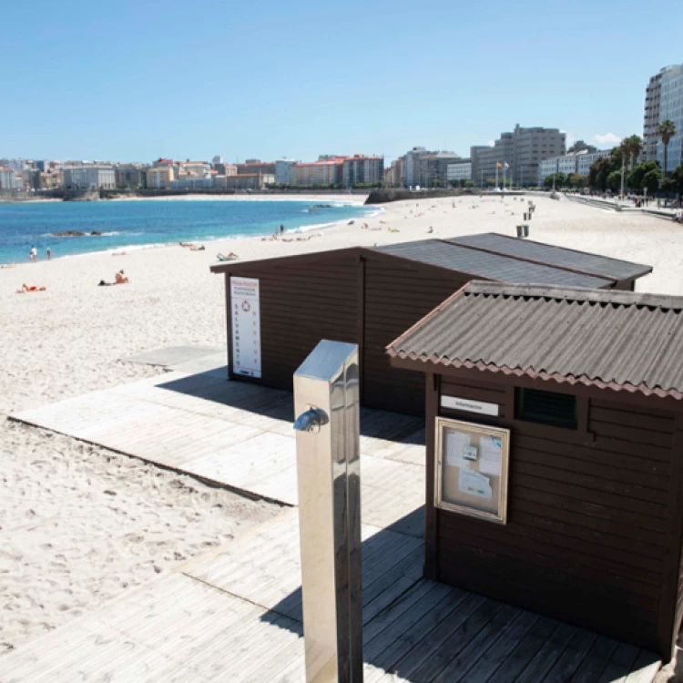 Imagen relacionada de actividades educacion ambiental playa riazor la coruna