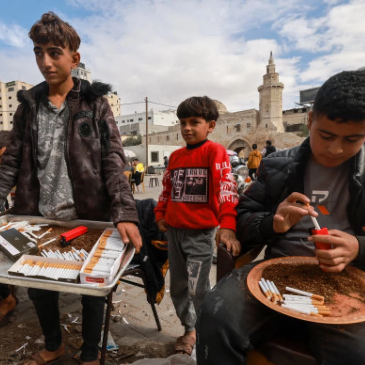 Imagen relacionada de mercado negro cigarrillos florece franja gaza