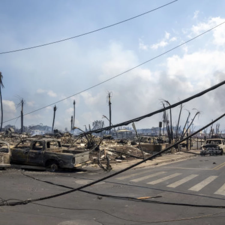 Imagen relacionada de incendios en maui abogados investigan lineas de energia