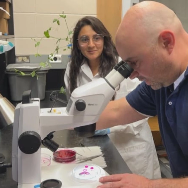 Imagen relacionada de investigadores universidad saskatchewan estudian plagas agricolas