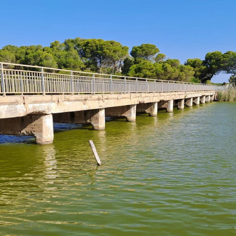 Imagen relacionada de reparacion puente gola pujol valencia