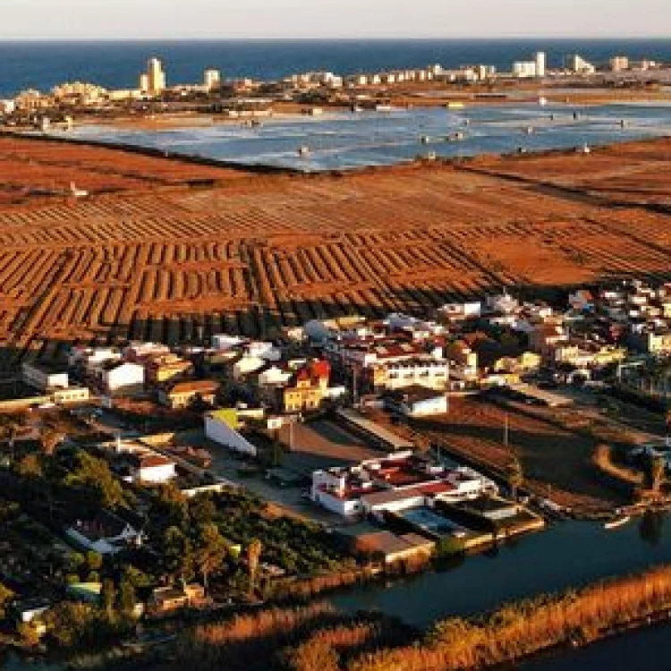 Imagen relacionada de acuerdo entre ayuntamiento y conselleria de sanidad para el servicio de ambulancia en el palmar valencia