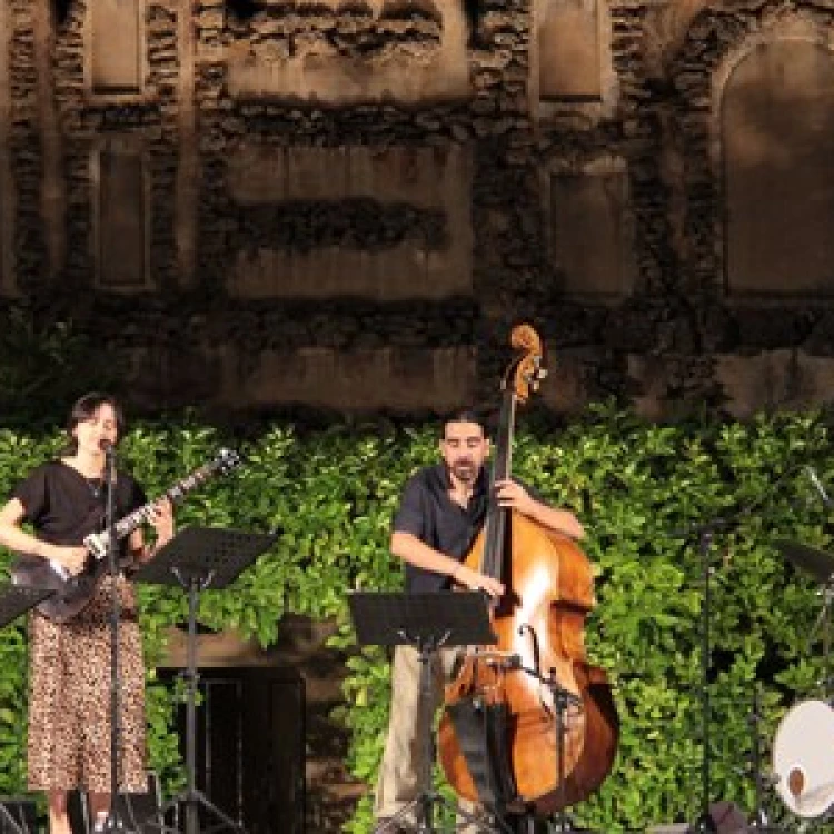 Imagen relacionada de exito en conciertos noches real alcazar sevilla