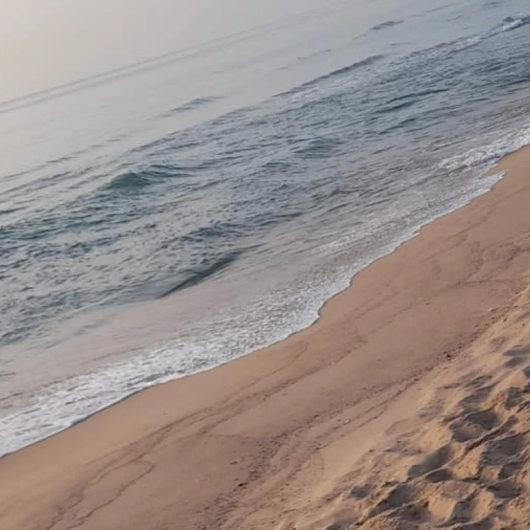 Imagen relacionada de reapertura de playas en valencia tras vertido de fuel