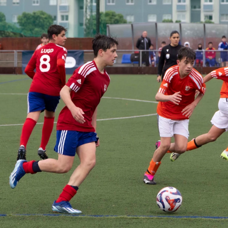 Imagen relacionada de renovacion campo futbol la coruna