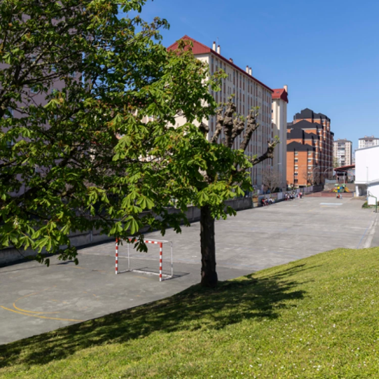 Imagen relacionada de remodelacion patio ceip ramon sagra la coruna