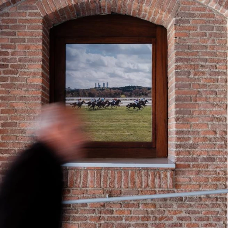 Imagen relacionada de exposiciones arte comunidad madrid verano