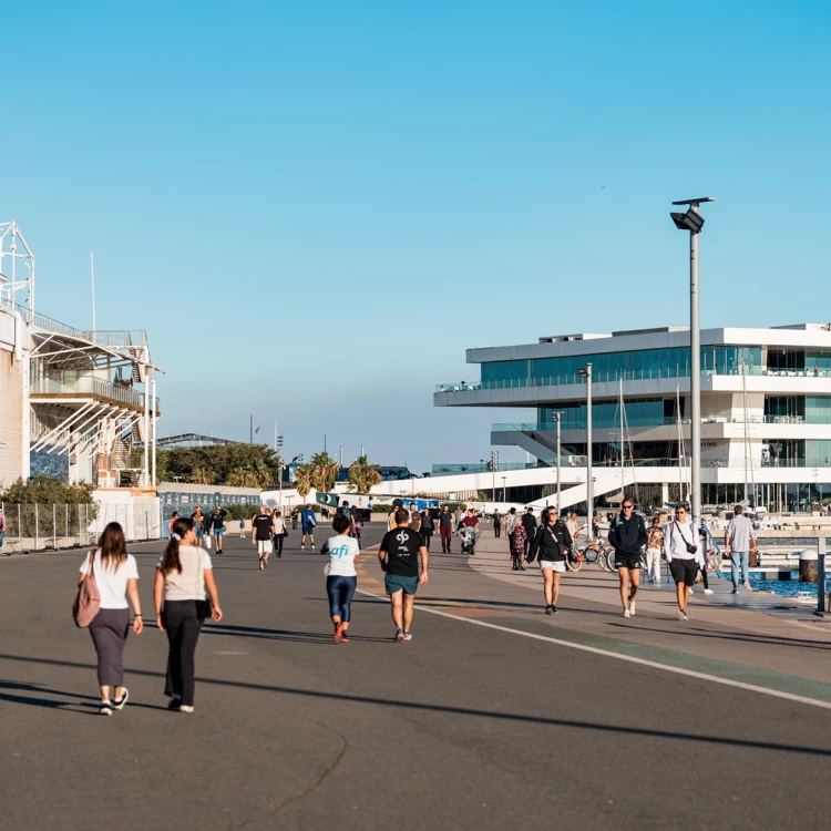 Imagen relacionada de ayuntamiento valencia puerto mantenimiento marina