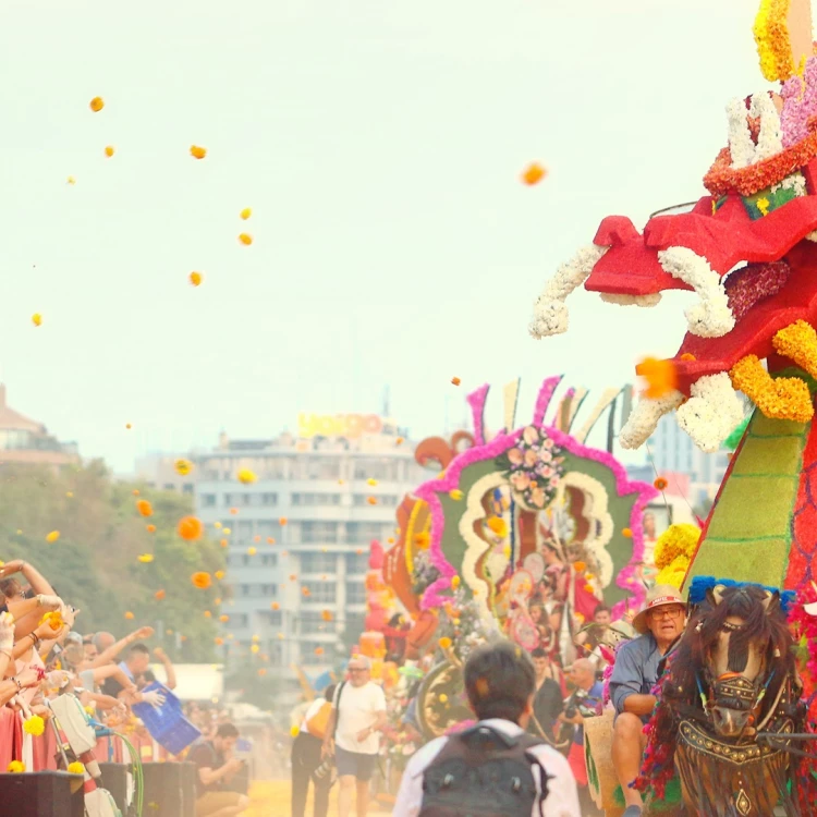 Imagen relacionada de valencia capitalidad verde batalla flores 2024