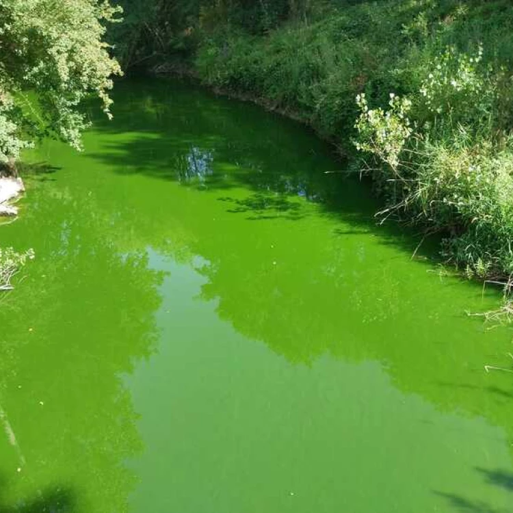 Imagen relacionada de investigacion calidad agua euskadi fenomenos naturales