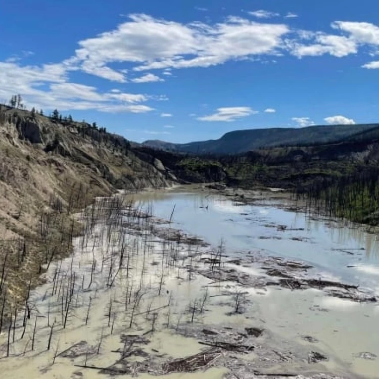 Imagen relacionada de deslizamiento chilcotin riesgos salmones