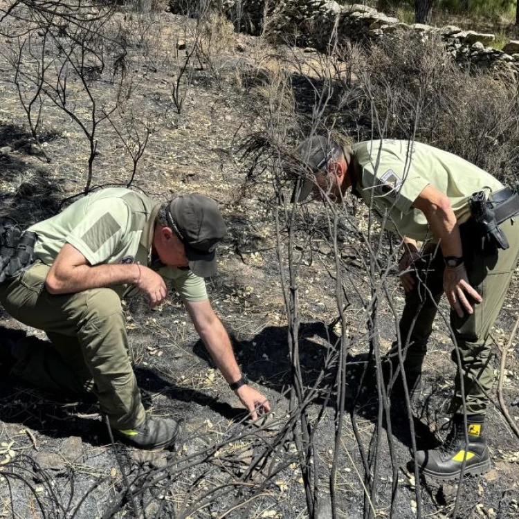 Imagen relacionada de comunidad madrid origen incendios forestales