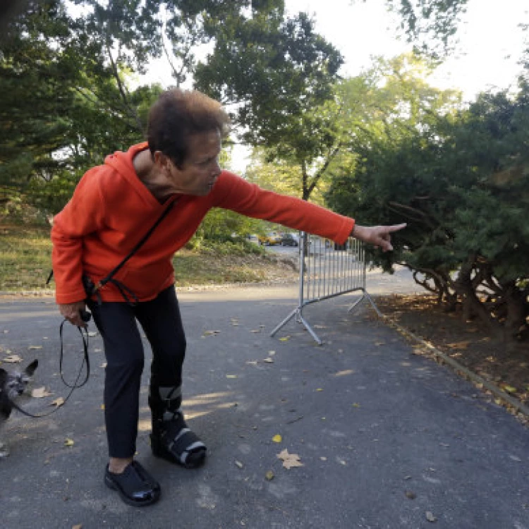 Imagen relacionada de robert f kennedy oso muerto central park