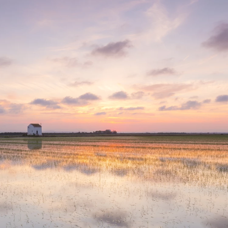 Imagen relacionada de equilibrio valencia albufera ecosistema turismo