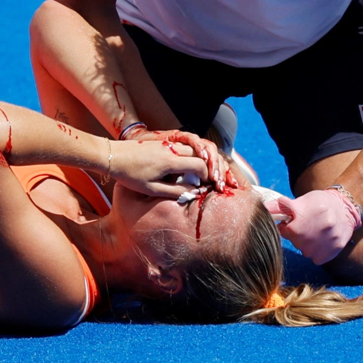 Imagen relacionada de leonas paises bajos semifinales incidente