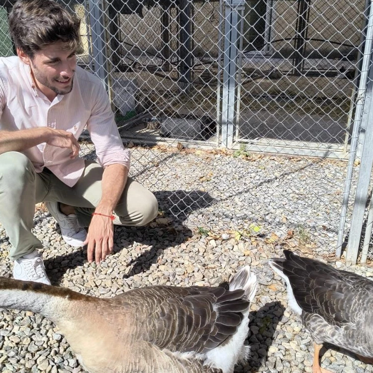 Imagen relacionada de centro acogida especies exoticas valencia