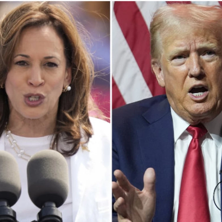 Imagen relacionada de harris supera trump estados clave