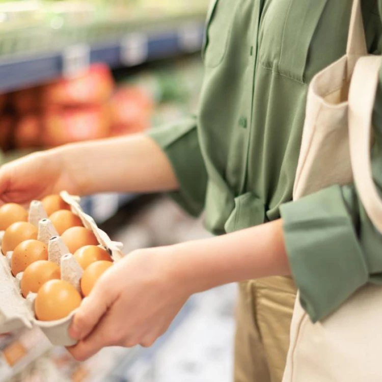 Imagen relacionada de prevencion intoxicaciones alimentarias madrid verano