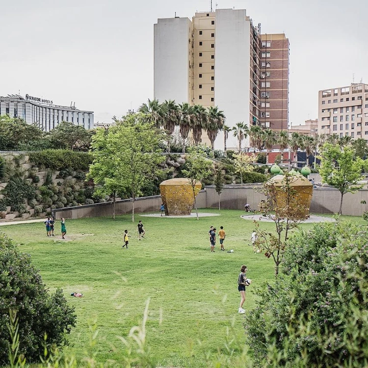 Imagen relacionada de valencia plan reforestacion urbana