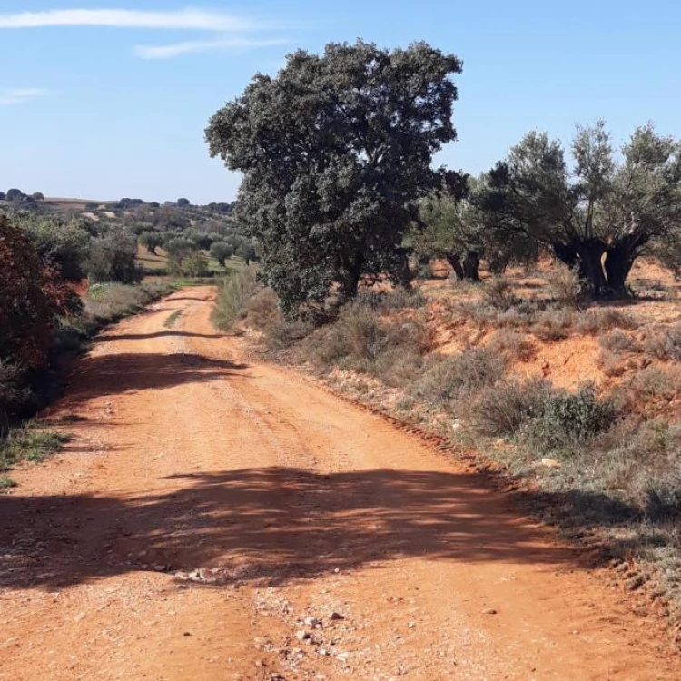 Imagen relacionada de mejora caminos rurales madrid