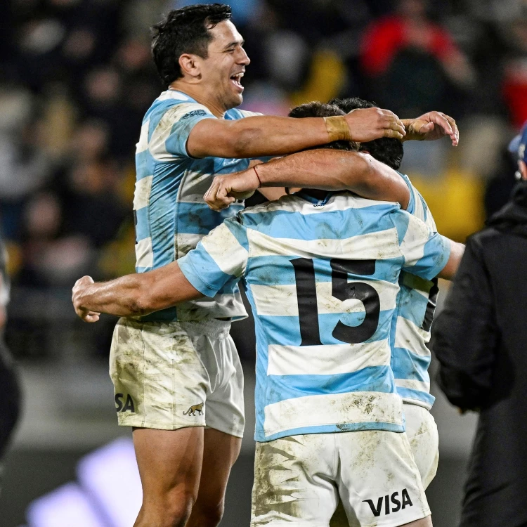 Imagen relacionada de los pumas buscan nuevo triunfo nueva zelanda rugby championship