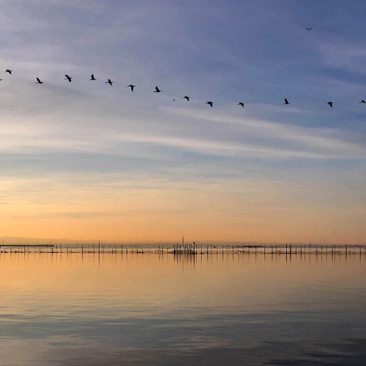 Imagen relacionada de valencia albufera convencion internacional