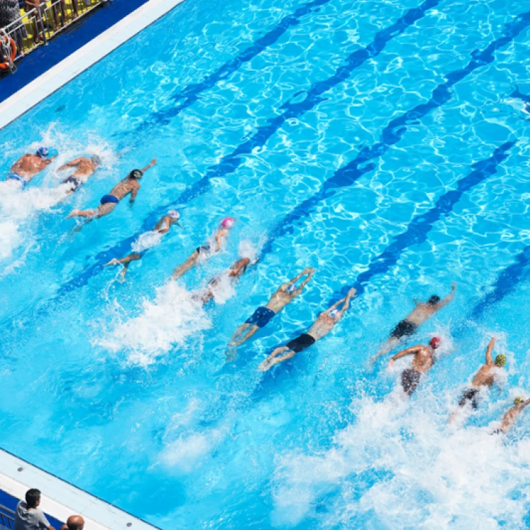 Imagen relacionada de premios natacion club do mar coruna 2024