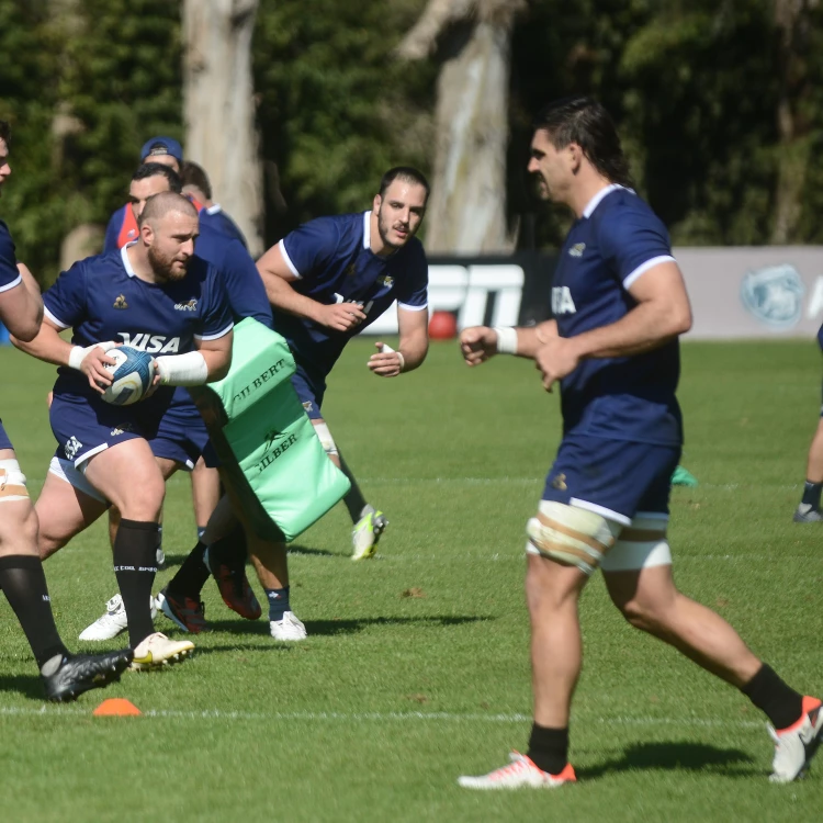 Imagen relacionada de los pumas preparan desafio australia rugby championship