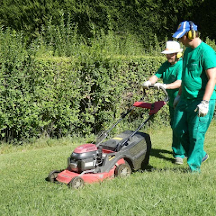 Imagen relacionada de nuevos cursos jardineria zaragoza